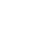 Cybersecurity Services Icon